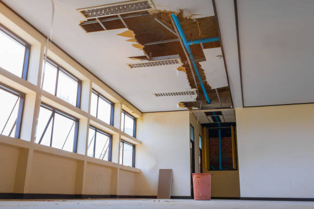 Best Professional water damage repair  in Indian Hills, KY