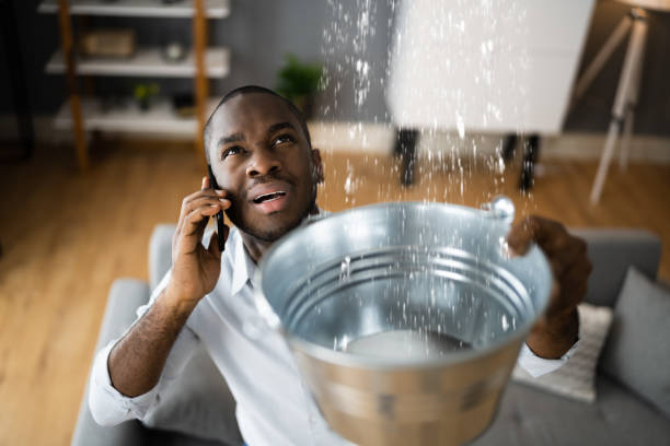 Best Ceiling water damage repair  in Indian Hills, KY