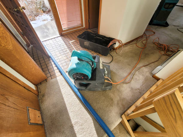 Best Local water damage restoration  in Indian Hills, KY