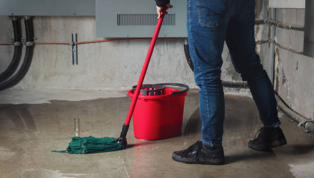Best 24-hour water damage restoration  in Indian Hills, KY