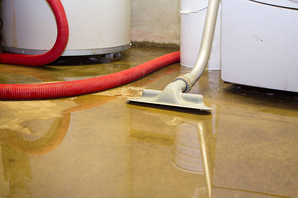 Best Mold removal after water damage  in Indian Hills, KY