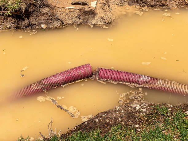 Best Flooded house restoration  in Indian Hills, KY
